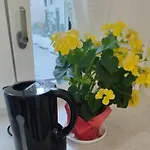 Roncella E La Sua Storia Centro Storico Apartman *